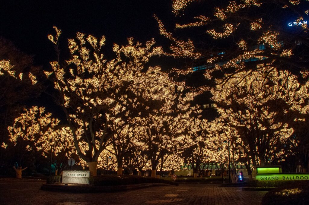 Glowing Christmas Lights And Tree