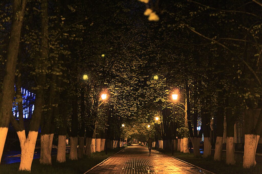 Glowing Christmas Lights And Trees