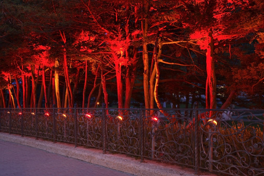 Glowing Red Christmas Lights And Trees