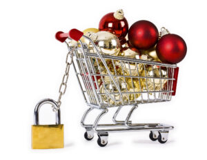 Read more about the article Safety First: Tips for Stress-Free Holiday Shopping
