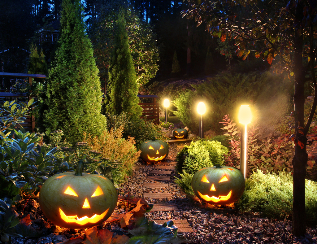 Pumpkin path decoration at helloween night